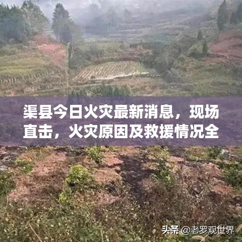 渠县今日火灾最新消息,现场直击,火灾原因及救援情况全解析