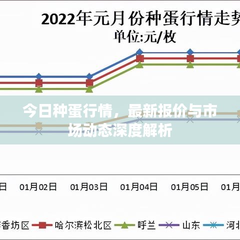 今日种蛋行情，最新报价与市场动态深度解析