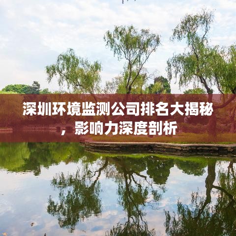深圳环境监测公司排名大揭秘,影响力深度剖析