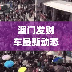 澳门发财车最新动态,今日消息一网打尽!