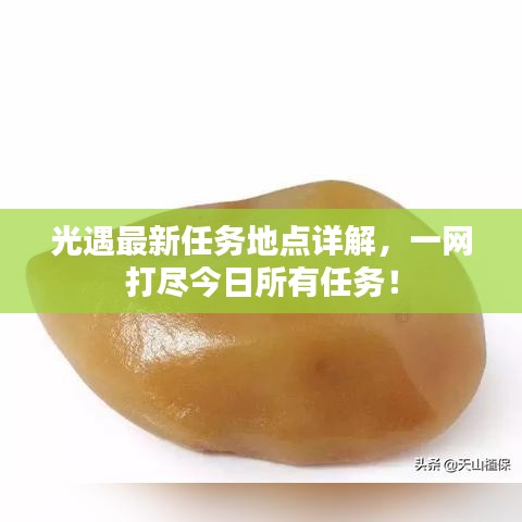 光遇最新任务地点详解，一网打尽今日所有任务！