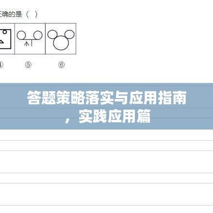 答题策略落实与应用指南,实践应用篇