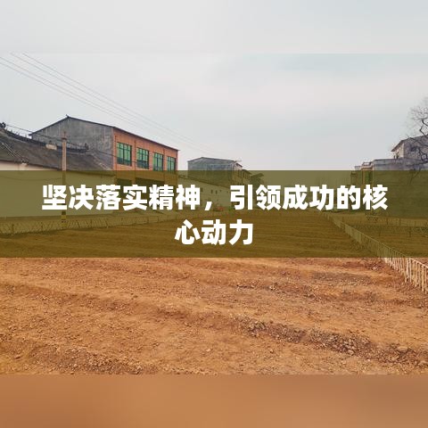 坚决落实精神,引领成功的核心动力