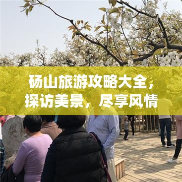 尽心尽力 第3页