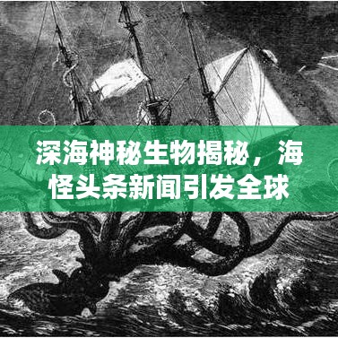 深海神秘生物揭秘，海怪头条新闻引发全球热议