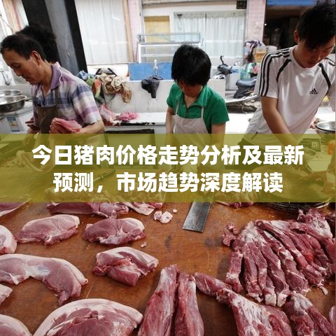 今日猪肉价格走势分析及最新预测,市场趋势深度解读