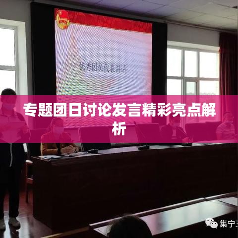 专题团日讨论发言精彩亮点解析
