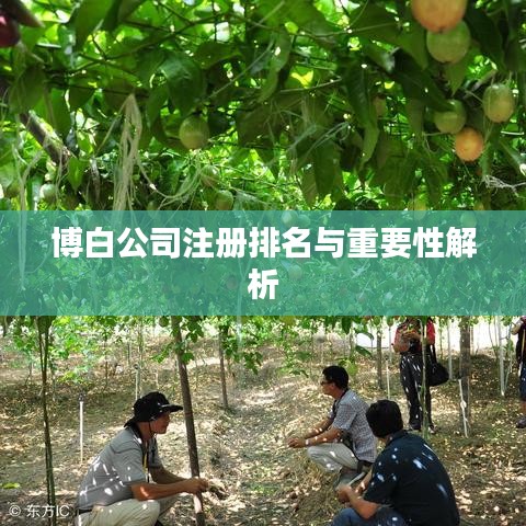 博白公司注册排名与重要性解析