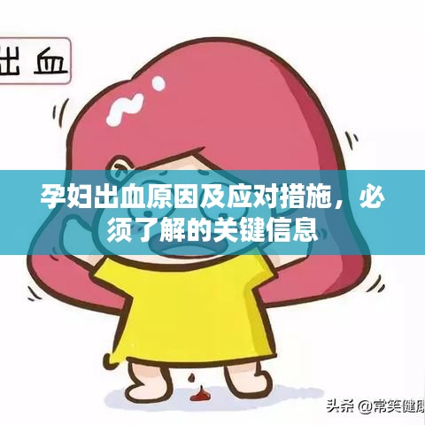 孕妇出血原因及应对措施,必须了解的关键信息