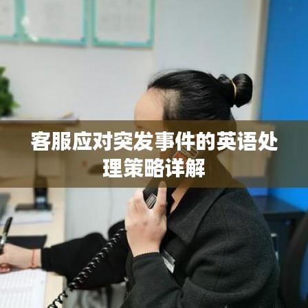 客服应对突发事件的英语处理策略详解