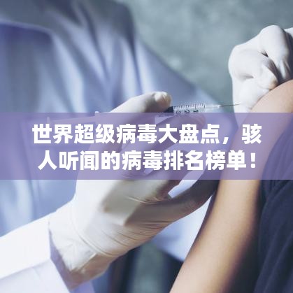 十全十美 第3页