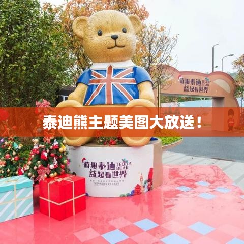 泰迪熊主题美图大放送！