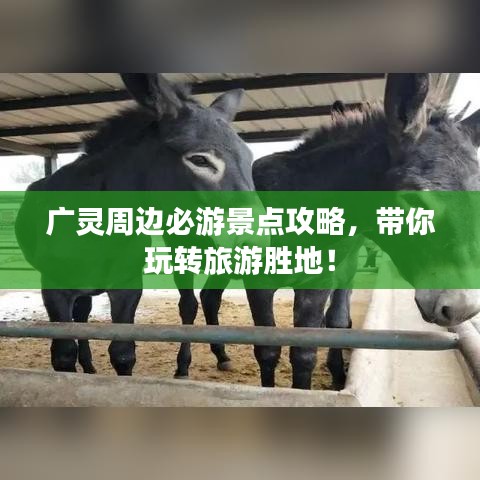 广灵周边必游景点攻略，带你玩转旅游胜地！