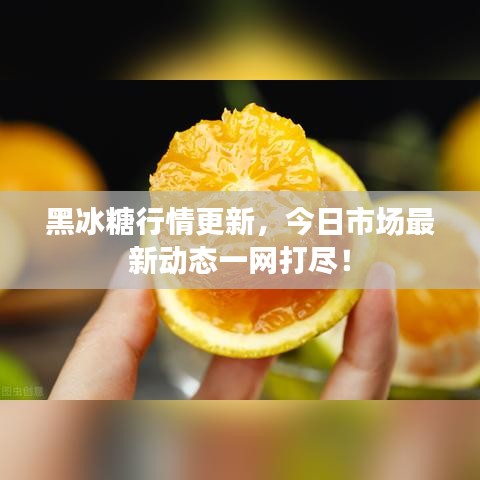 黑冰糖行情更新,今日市场最新动态一网打尽!