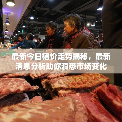 最新今日猪价走势揭秘，最新消息分析助你洞悉市场变化