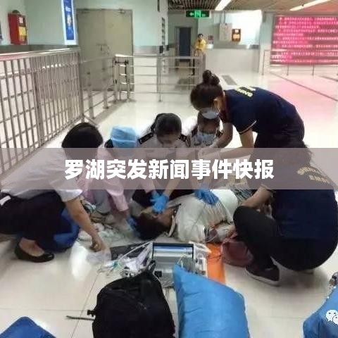 罗湖突发新闻事件快报