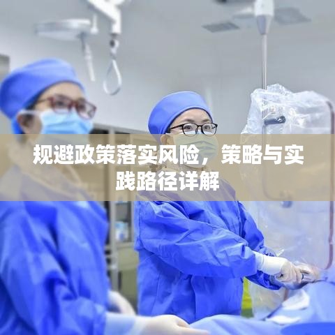 规避政策落实风险,策略与实践路径详解