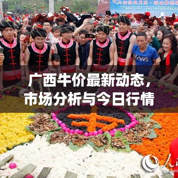广西牛价最新动态,市场分析与今日行情