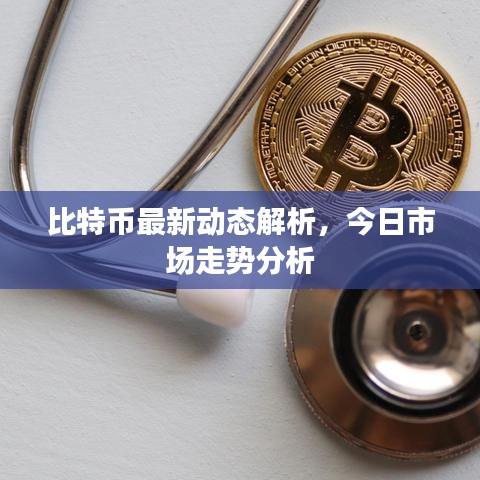 比特币最新动态解析,今日市场走势分析