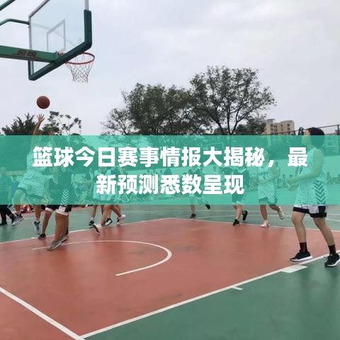篮球今日赛事情报大揭秘，最新预测悉数呈现