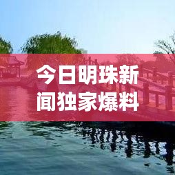 今日明珠新闻独家爆料，最新消息一网打尽！