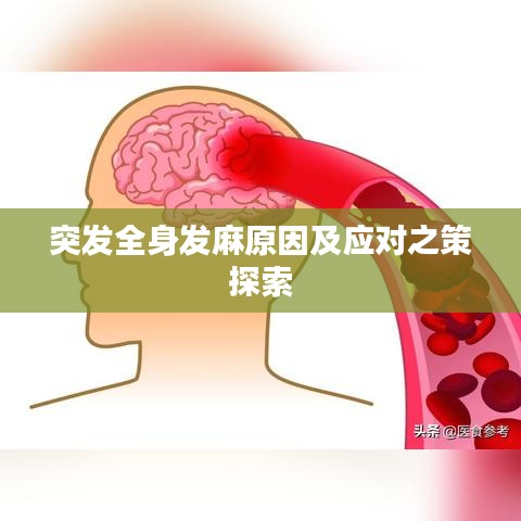 突发全身发麻原因及应对之策探索