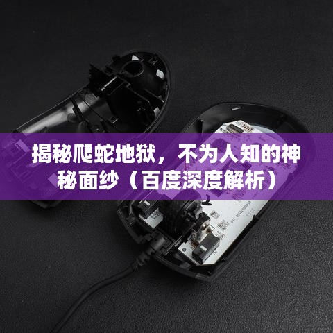 揭秘爬蛇地狱,不为人知的神秘面纱(百度深度解析)