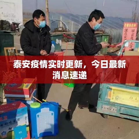 泰安疫情实时更新,今日最新消息速递