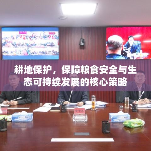 耕地保护,保障粮食安全与生态可持续发展的核心策略