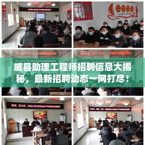 雍容华贵 第3页