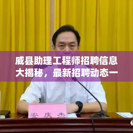 威县助理工程师招聘信息大揭秘,最新招聘动态一网打尽!