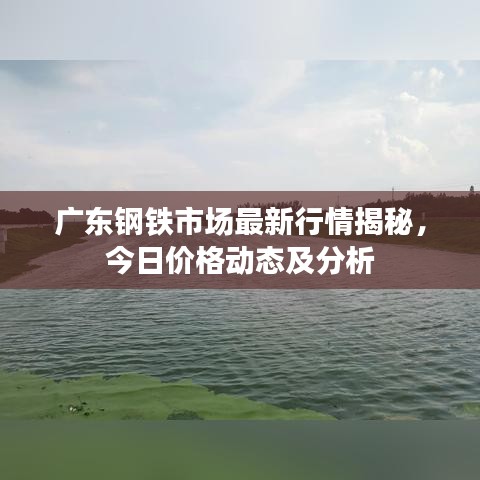 广东钢铁市场最新行情揭秘,今日价格动态及分析