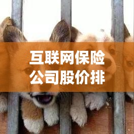 互联网保险公司股价排行榜,揭示行业繁荣背后的波动秘密