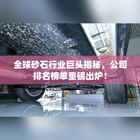 无影无踪 第2页