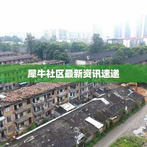 飞龙在天 第3页