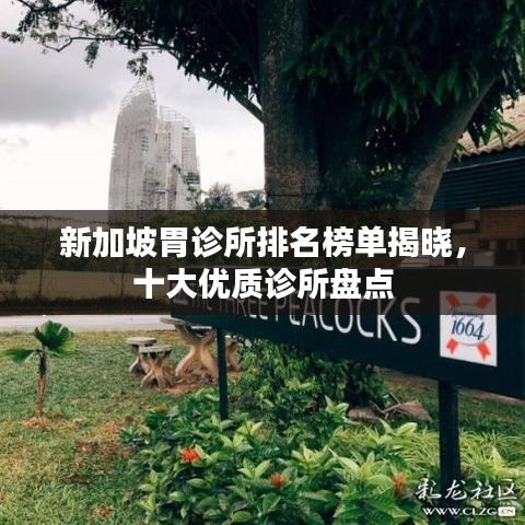 新加坡胃诊所排名榜单揭晓,十大优质诊所盘点