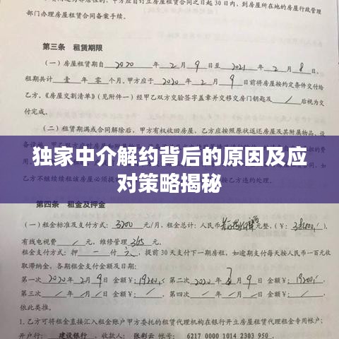 独家中介解约背后的原因及应对策略揭秘