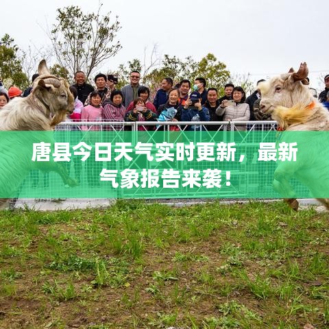 唐县今日天气实时更新,最新气象报告来袭!