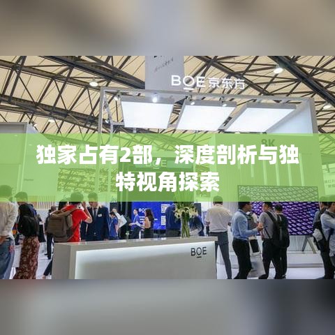独家占有2部，深度剖析与独特视角探索