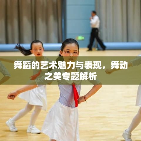 舞蹈的艺术魅力与表现,舞动之美专题解析