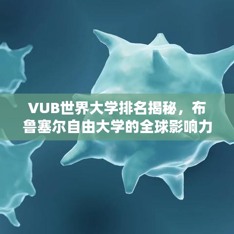 VUB世界大学排名揭秘,布鲁塞尔自由大学的全球影响力探究