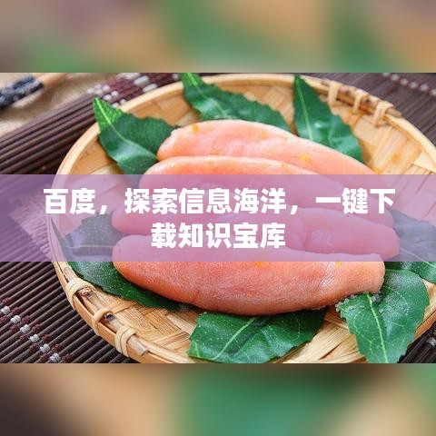 百度,探索信息海洋,一键下载知识宝库