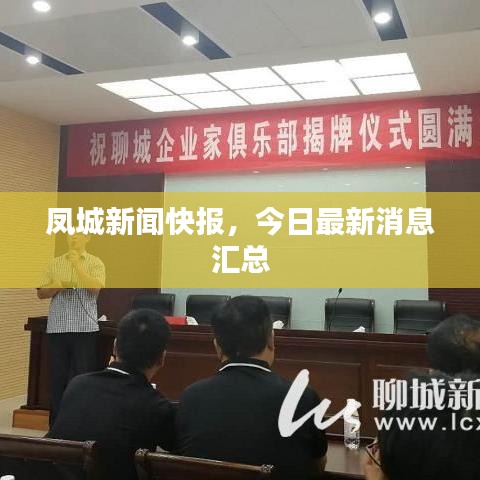 凤城新闻快报，今日最新消息汇总