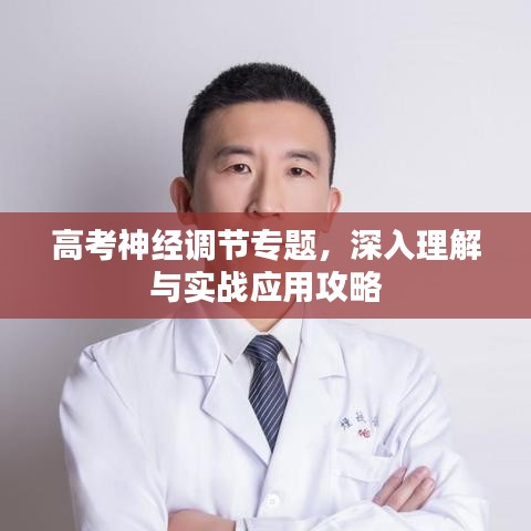 高考神经调节专题,深入理解与实战应用攻略