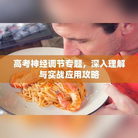 高考神经调节专题,深入理解与实战应用攻略