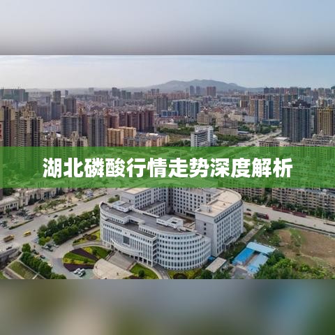 湖北磷酸行情走势深度解析