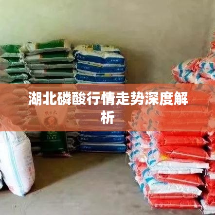 湖北磷酸行情走势深度解析