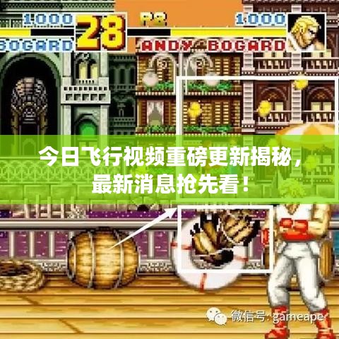 今日飞行视频重磅更新揭秘，最新消息抢先看！