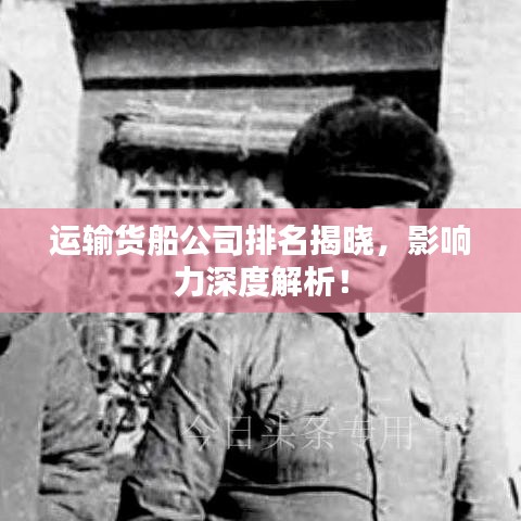 运输货船公司排名揭晓,影响力深度解析!