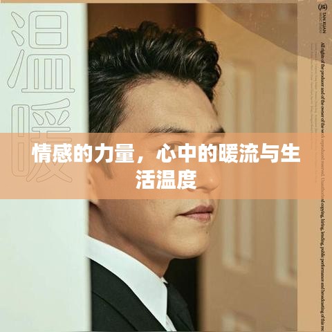 情感的力量,心中的暖流与生活温度
